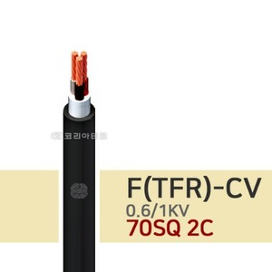 0.6/1KV F-CV 70SQ 2C 전기선/전력케이블/TFR-CV